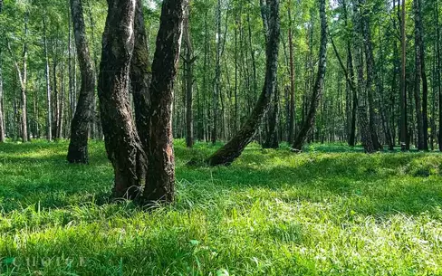 Участок 12.62 сот. в охраняемом поселке