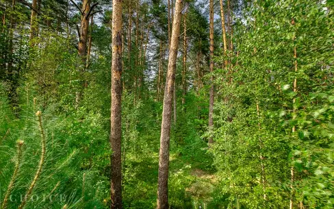 Участок 32.16 сот.