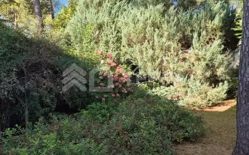 2-этажный коттедж 524 м² с отделкой