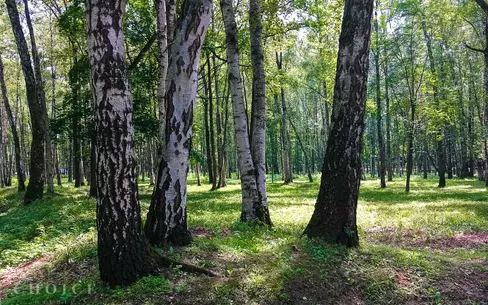 Участок 12.62 сот. в охраняемом поселке