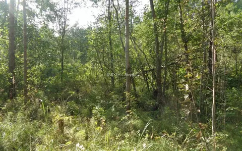 Участок 80 сот. в охраняемом поселке