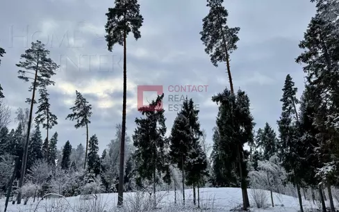 Участок 28 сот.