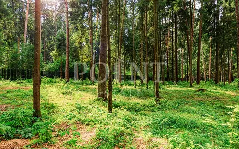 Участок 12 сот.