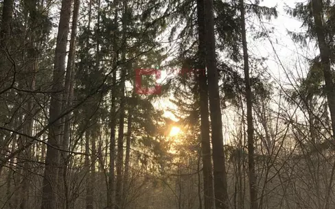 Участок 120 сот. в охраняемом поселке