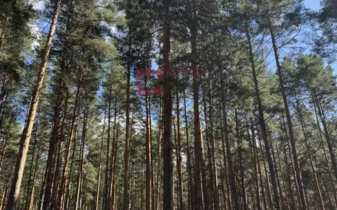 Участок 200 сот. в охраняемом поселке