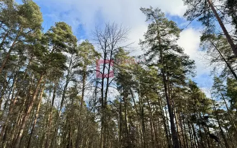 Участок 200 сот. в охраняемом поселке