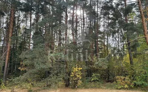 Участок 39.98 сот. в охраняемом поселке