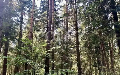 Участок 120 сот. в охраняемом поселке