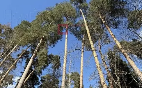 Участок 29 сот. в охраняемом поселке