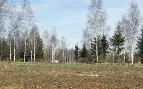 Участок 45 сот.