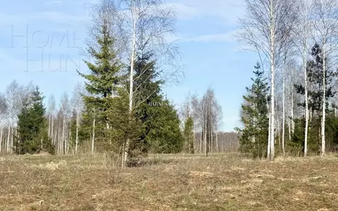 Участок 45 сот.