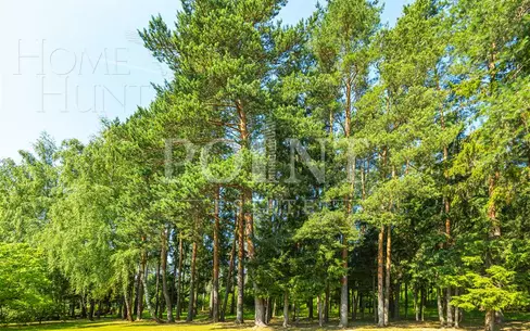 Участок 21 сот.