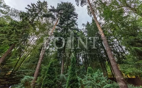 Участок 21 сот.