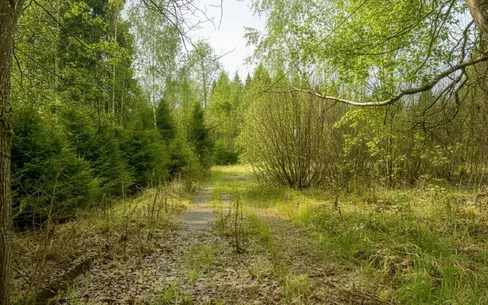 Участок 2 200 сот.