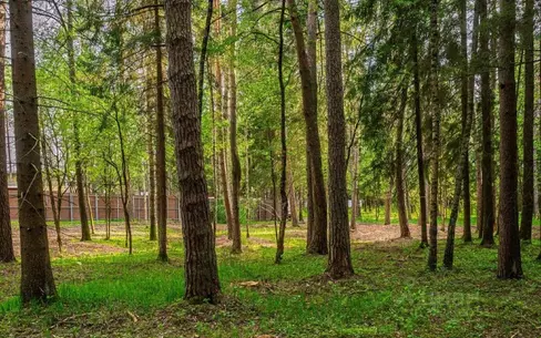 Участок 2 200 сот.