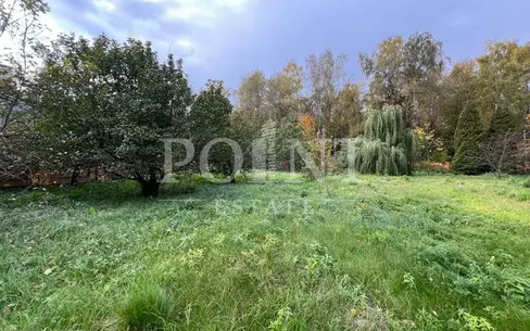 Участок 50 сот.
