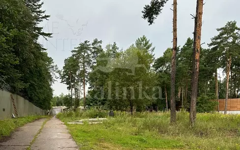 Участок 250 сот.