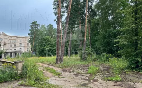 Участок 250 сот.