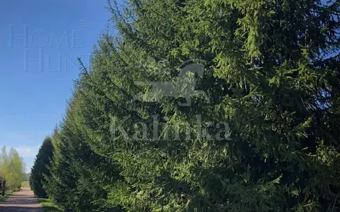 Участок 15 сот.