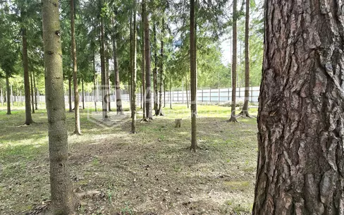 Участок 49.7 сот.