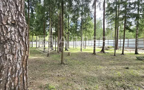 Участок 49.7 сот.
