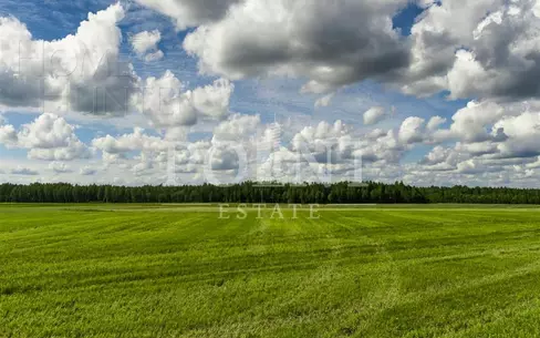 Участок 1 173 сот.