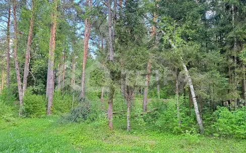Участок 18 сот.