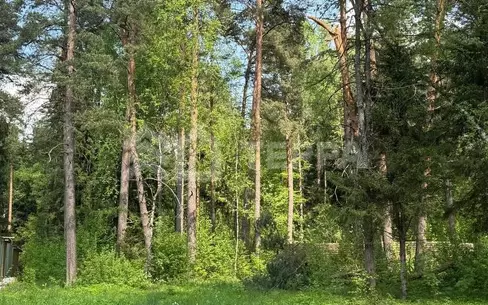 Участок 18 сот.
