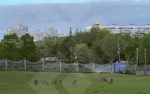 1-КОМН. КВАРТИРА БЕЗ ОТДЕЛКИ 52 М² НА 6 ЭТАЖЕ