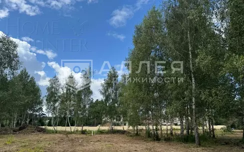 Участок 20 сот.