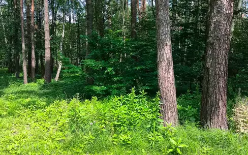 Участок 12 сот. в охраняемом поселке