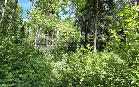 Участок 134 сот. в охраняемом поселке