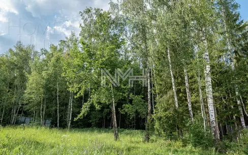 Участок 31 сот.