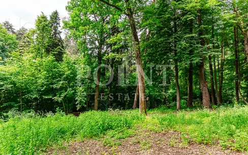 2-этажный коттедж 1 050 м² без отделки