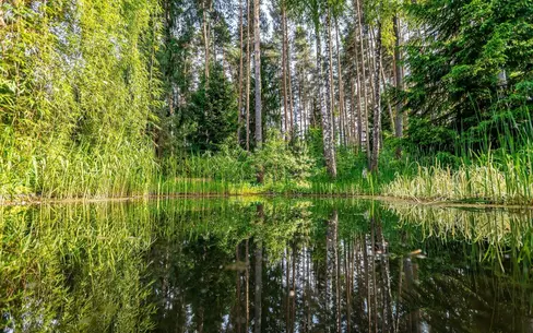 3-этажный коттедж 2 400 м² с отделкой