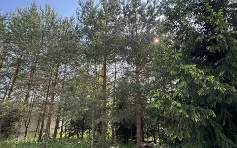 Участок 27 сот.