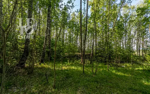 Участок 250 сот.