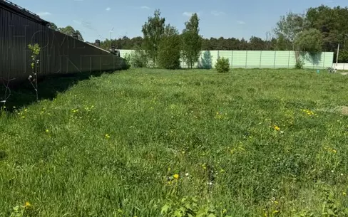 Участок 50 сот.