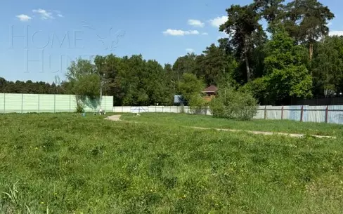 Участок 50 сот.