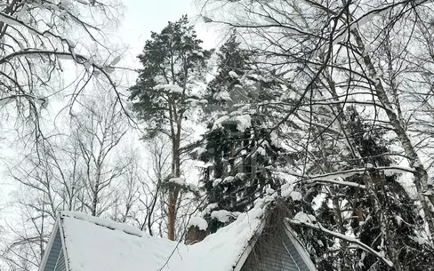 Участок 12.56 сот.