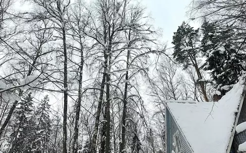 Участок 12.56 сот.