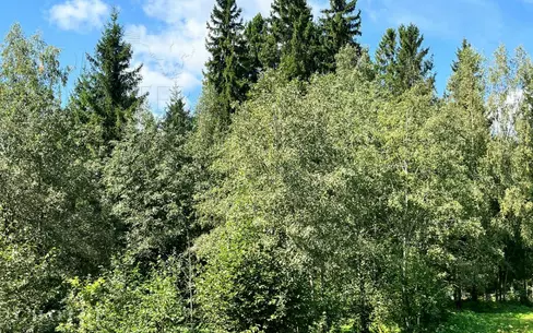 Участок 27.3 сот.