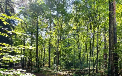 Участок 80 сот. в охраняемом поселке