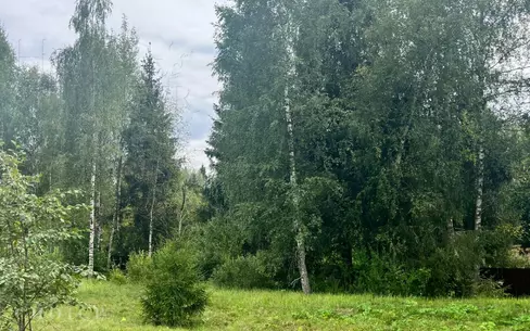 Участок 22.4 сот.