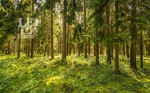 Участок 50 сот. в охраняемом поселке