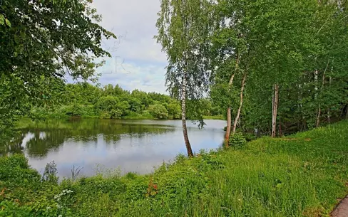 Участок 33.92 сот. в охраняемом поселке