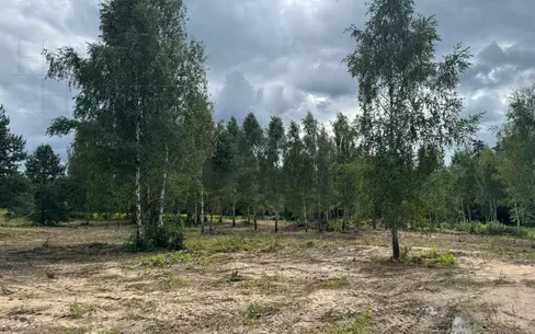 Участок 20 сот.