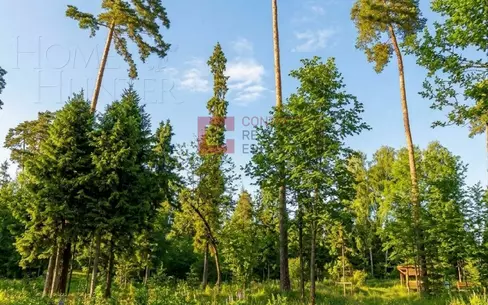 Участок 28 сот.