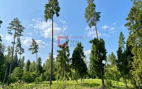 Участок 28 сот.