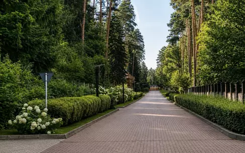 Участок 59 сот.